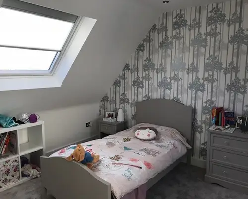 Velux Conversions